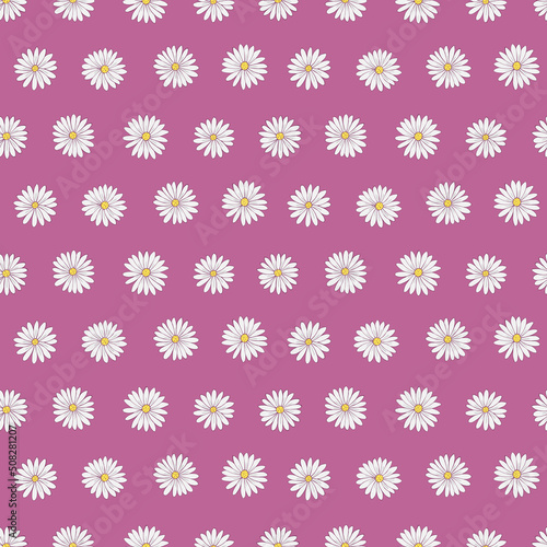 Seamless vector pattern of chamomile. Decoration print for wrapping, wallpaper, fabric, textile.