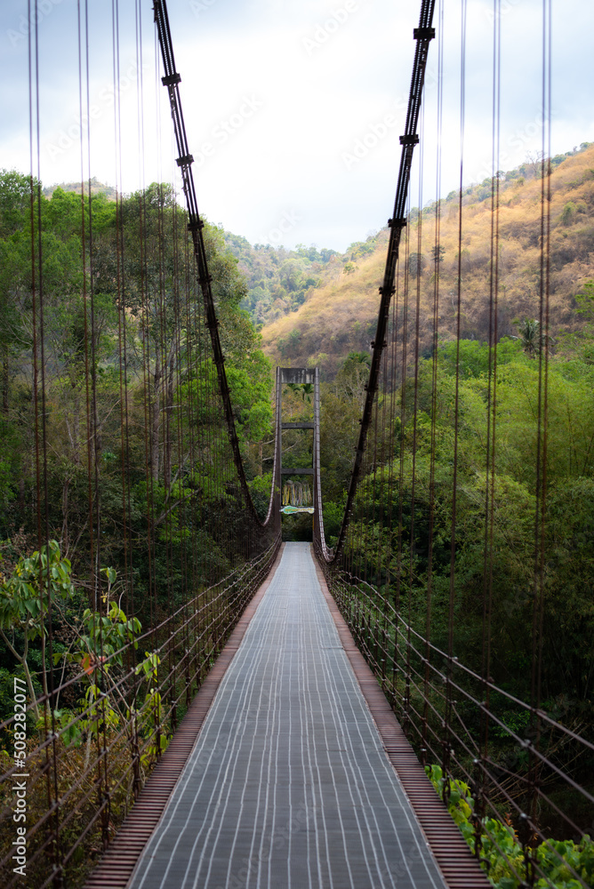 Obraz premium soft focus Wooden Bridge along the river to green forest 