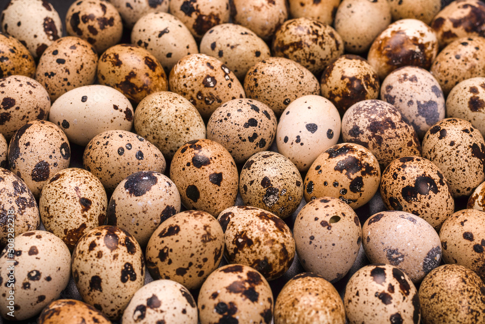 Group of quail eggs as a background. Raw eggs. Group of quail eggs as a background. Raw eggs.