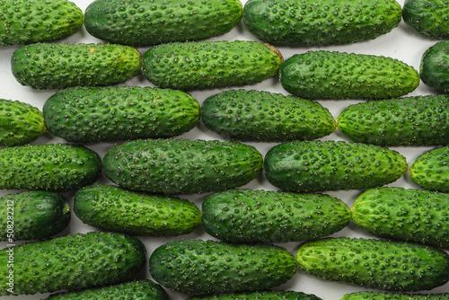 Fresh green cucombers as a background