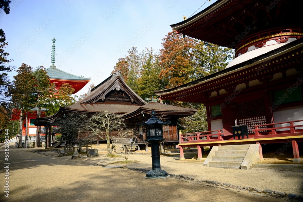 A small, secluded temple town has developed around the sect's headquarters that Kobo Daishi built on Koyasan's wooded mountaintop. Since then over one hundred temples have sprung up along the streets A small, secluded temple town has developed around the sect's headquarters that Kobo Daishi built on Koyasan's wooded mountaintop. Since then over one hundred temples have sprung up along the streets