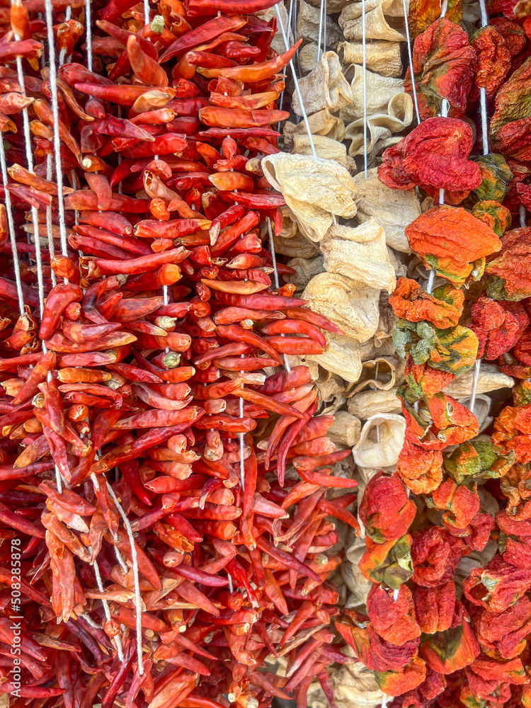 dried red peppers hanged in market