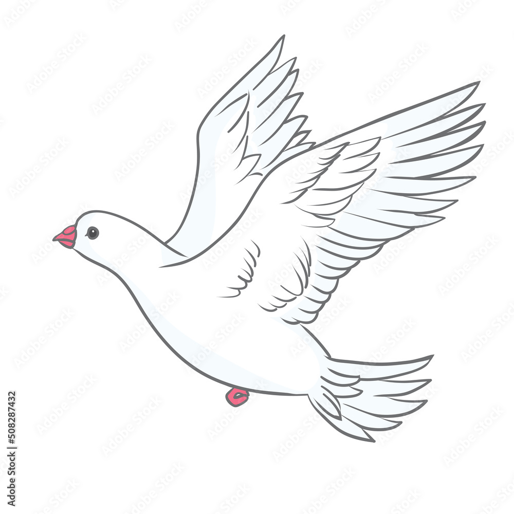 Fototapeta premium Pigeon vector character color flat illustration pigeon