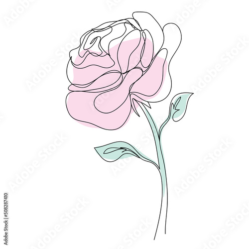 Vector red rose drawing of one continuous line. Color illustration of flowers in the style of line art
