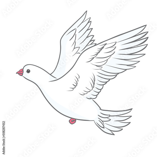 Pigeon vector character color flat illustration pigeon