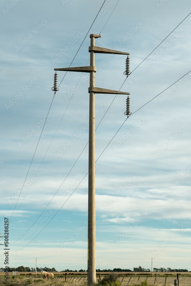 vertical shot of power pole in rural area