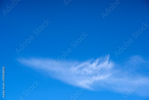 Wispy cloud surrounded by clear blue sky
