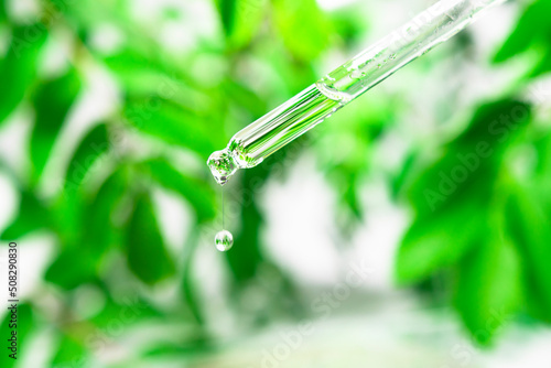 Glass pipette with cosmetic transparent liquid on the background of juicy green foliage. Natural, herbal medicine.