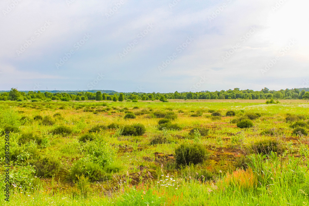 Obraz premium Cloudy sky with beautiful natural forest landscape panorama Germany.