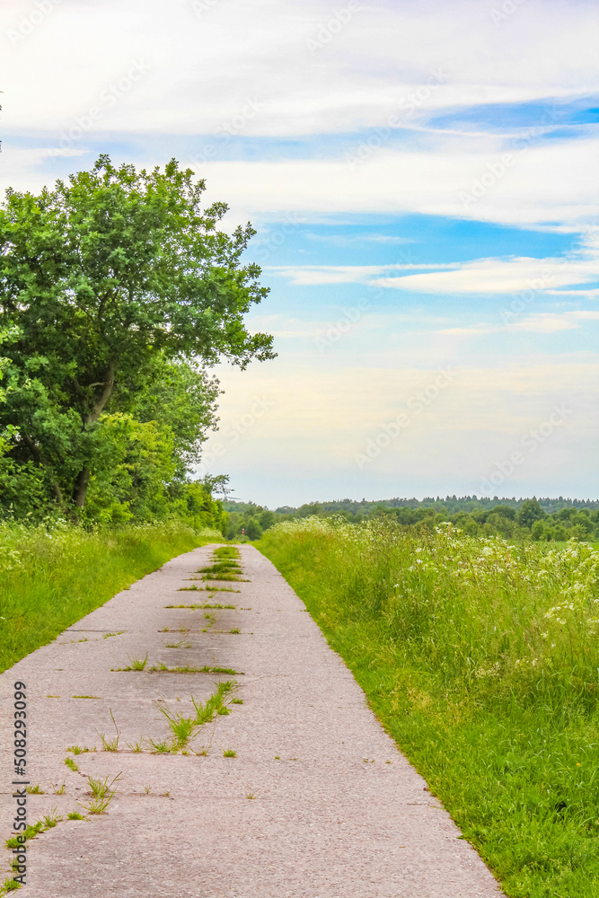 Obraz premium Blue sky with beautiful natural forest landscape panorama Germany.