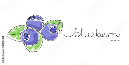 Blueberry vector illustration. One line drawing art illustration with lettering organic blueberry.