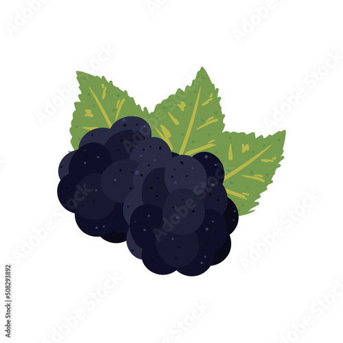 flat fresh grapes design