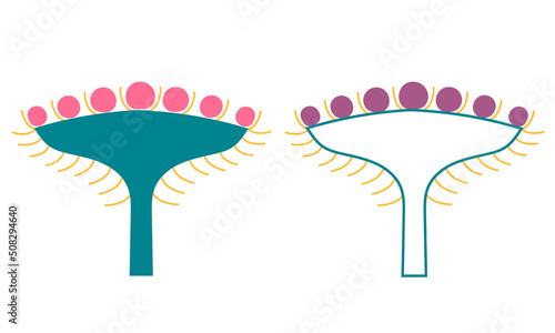 Types of flower inflorescences in plants on a stem. Flat style. Vector isolated