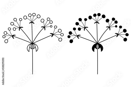 The outline of the silhouette of flower inflorescences in plants on the stem. Vector isolated