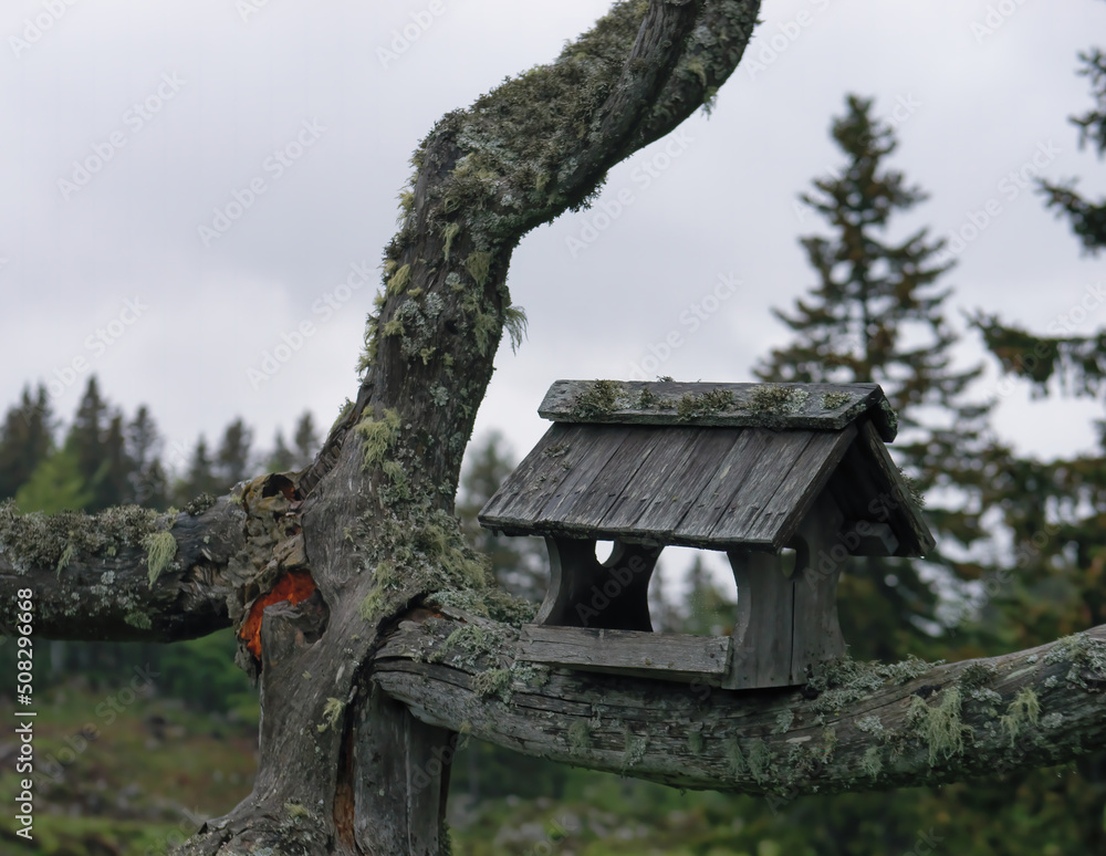 Fototapeta premium Close-up of a carved wooden birdhouse on a branch on a foggy day, Velika Planina, Slovenia