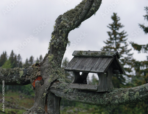 Close-up of a carved wooden birdhouse on a branch on a foggy day, Velika Planina, Slovenia © Eleseus