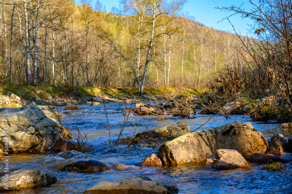 Fototapeta premium South Ural rough river with a unique landscape, vegetation and diversity of nature.