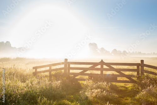 Beautiful landscape of the morning field with fog.