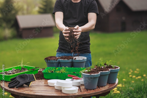 Gardening: grow beautiful vegetables, herbs, and flower outdoor in the home garden