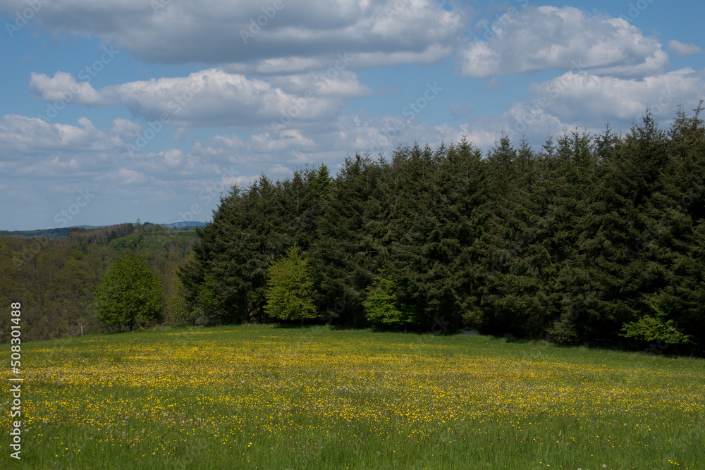 Landscape view near the german village called Hallenberg Landscape view near the german village called Hallenberg