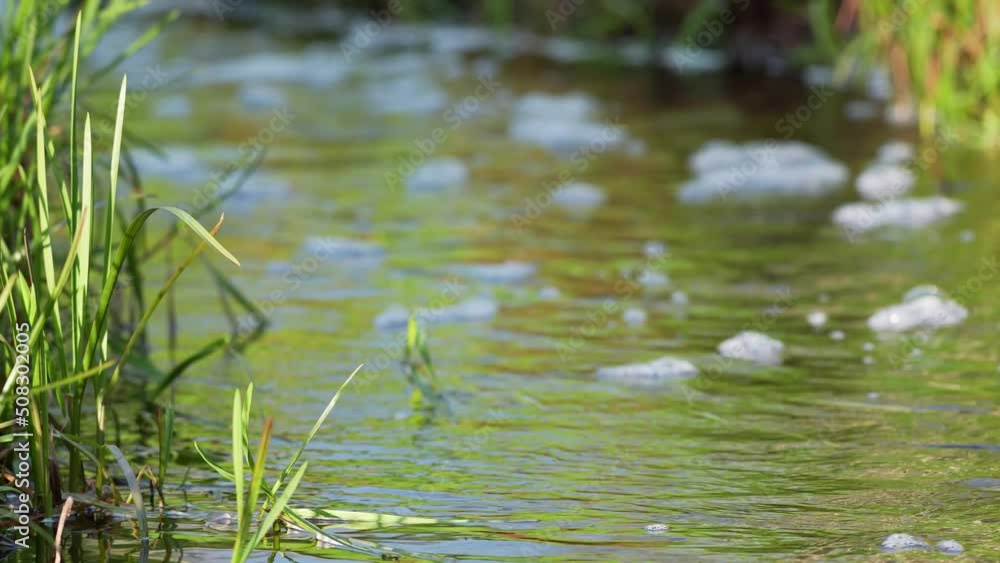 Close up view of flowing cannel with foam. Fast stream. Sunny summer day. Close up view of flowing cannel with foam. Fast stream. Sunny summer day.