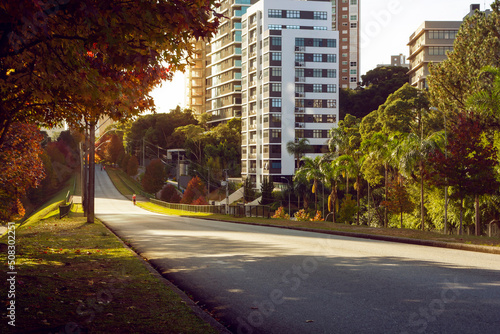 Street with autumn trees at dawn in the city of Curitiba, Brazil.