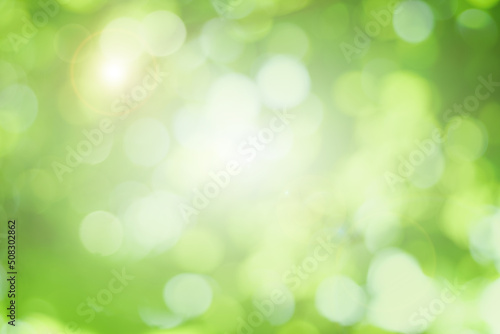 Blur the green bokeh for presentation as a background.                © surasak