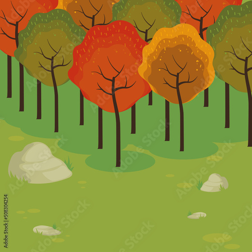 forest in autumn