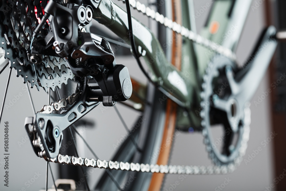Fototapeta premium Rear bicycle cassette speeds with a wide range and chain close-up