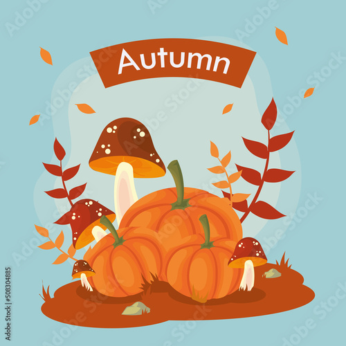autumn pumpkin and fungus
