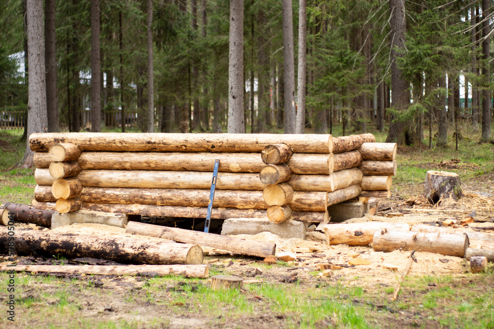 Wooden frame under construction in a pine forest Wooden frame under construction in a pine forest