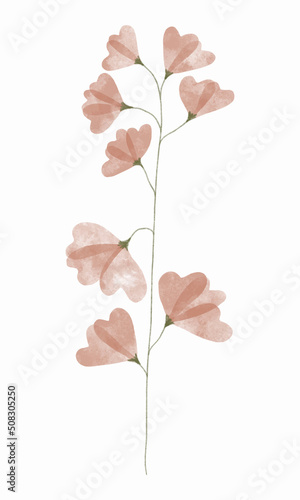 Watercolor trendy flower. Vector illustration for web  app and print. Elegant feminine shape floristic isolated sweet pea flower. Garden  botanical  minimalistic floral element.