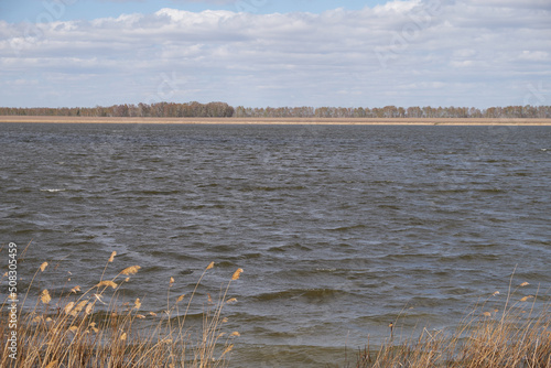 on the shore of a salt lak