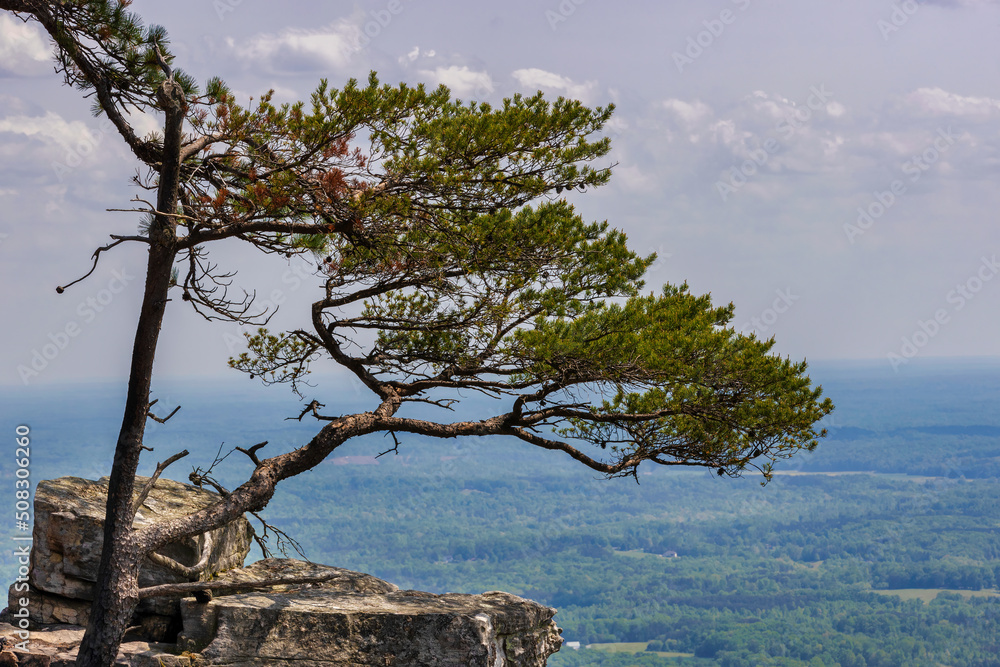 Pilot Mountain State park in North Carolina Pilot Mountain State park in North Carolina