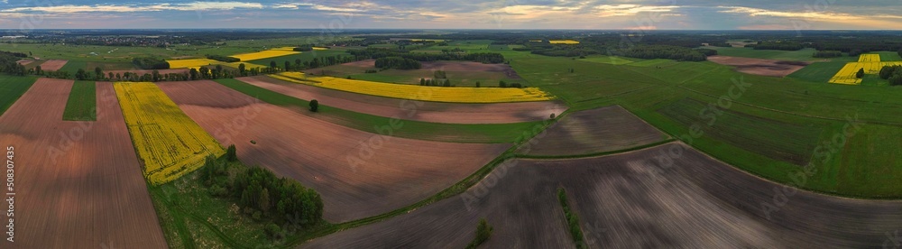 Panorama.View from the drone on yellow .green farmland in Podlasie.Yellow flowering rapeseed from a bird's eye view.