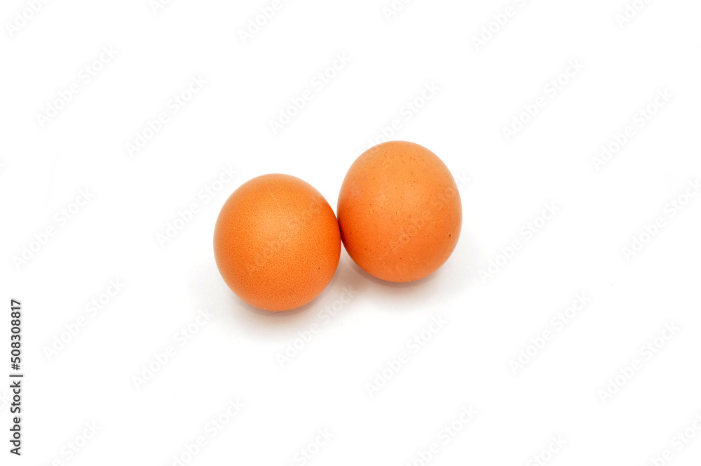 chicken eggs isolated on white background chicken eggs isolated on white background