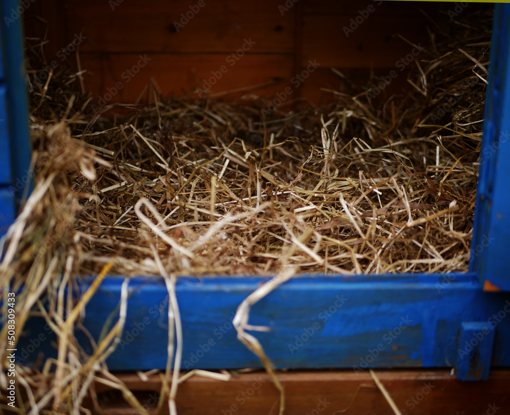 Hen coup filled with straw and hay bedding 