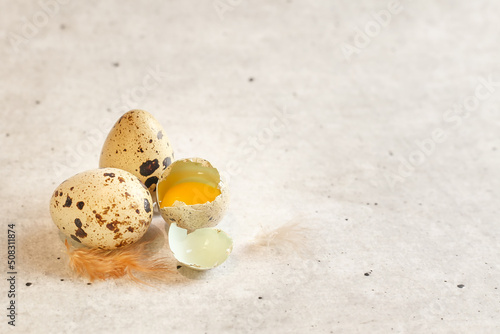Quail eggs on a light background.Copy space
