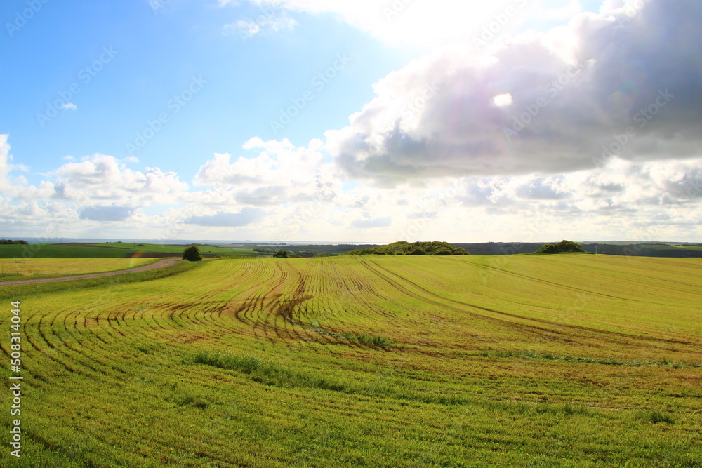 Fields and sky | At the Vestkystruten (North Sea Cycling Route) in Northern Jutland, Denmark