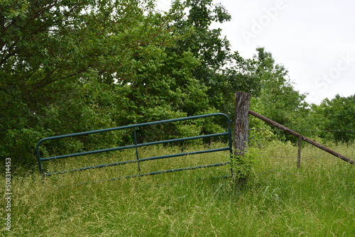 Gate on a Fence in a Farm Field