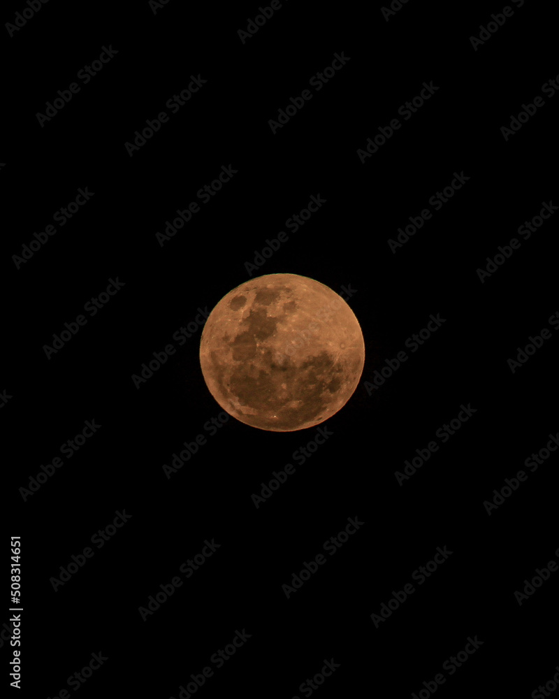 Obraz premium moon in the sky