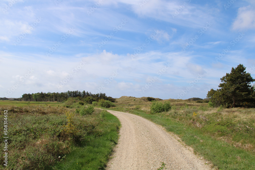 North Sea Cycle Route leading through lush green fields in Jutland, Denmark