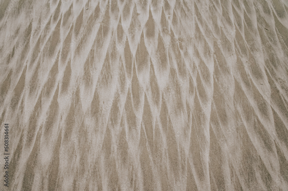 white fur texture white fur texture