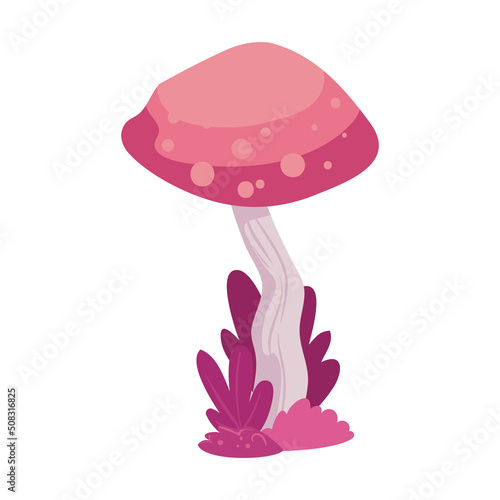 pink fungus illustration