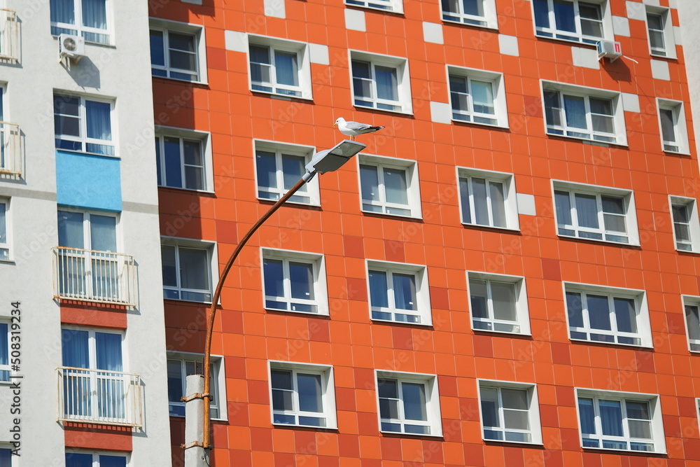 Modern high-rise building in a residential complex. Many windows. A seagull sits on a lamppost. High quality photo