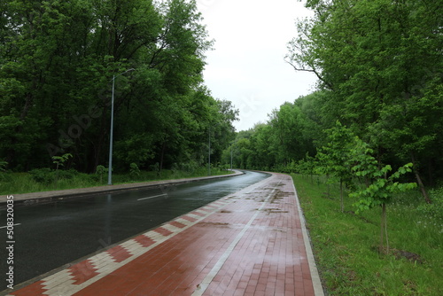 Bike path and road in the rain forest photo