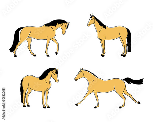 Set of horses standing and moving vector flat illustration