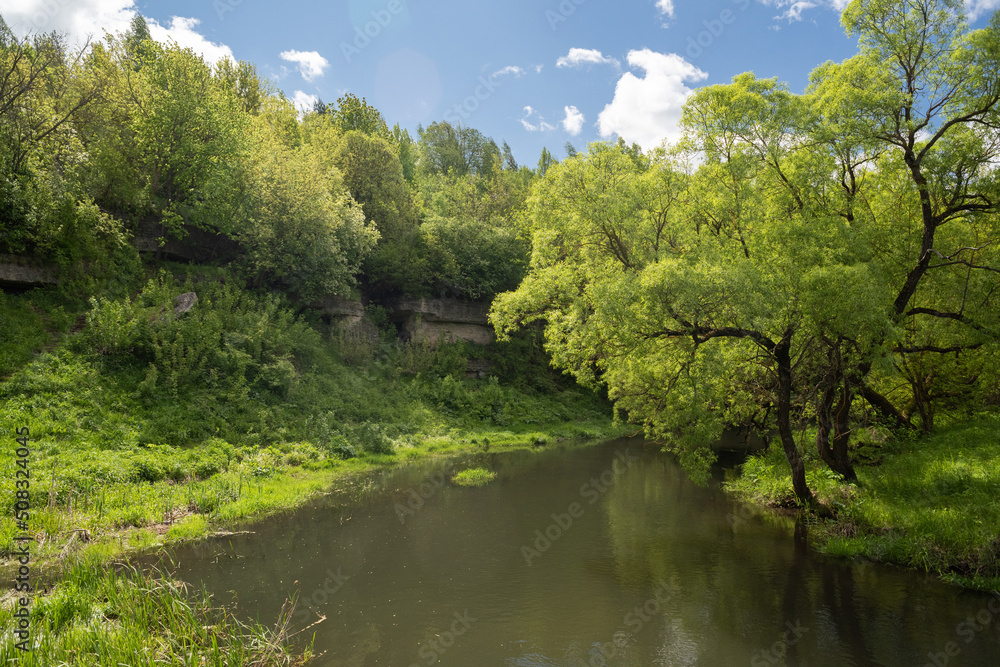 Quiet little river with trees on banks and blue sky with white clouds Quiet little river with trees on banks and blue sky with white clouds