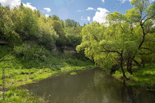 Quiet little river with trees on banks and blue sky with white clouds