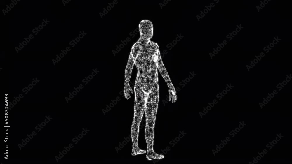 Rotating 3d rendering Human figure formed by connecting lines 4k loop
Rotating 3d rendering Human figure formed by connecting lines 4k loop